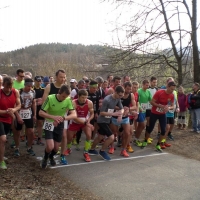 Silberdistel-Albcup-Serie