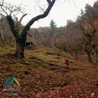 Ultra Trail Mugello, Foto: StudioSisti