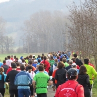 Ziersdorfer Osterlauf am 10. April 2023