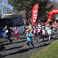 Meißner-Sparkassen-Cup