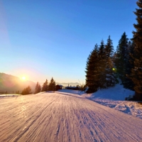 Skitour Seefelder Joch im Jänner 2023. Abfahrt