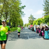 Ergebnisse Heilbronner Trollinger Marathon 2024