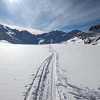 Skitour Wildspitze 15: Die Abfahrt nun zunächst entlang des Aufstieges und später über den Taschachferner. Auch da ist bei Schönwetter immer gespurt.