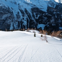 Skitour Schafhimmel 13: Blick zurück auf unberührte Natur.
