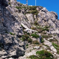 Lustige Bergler Steig 21: Das Gipfelkreuz der Marchreisenspitze ist bereits in Sicht.