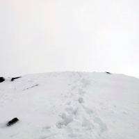 Eiskögele Skitour 32: Blick zurück auf den Grataufstieg.