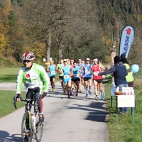 Donautal Halbmarathon (C) Veranstalter