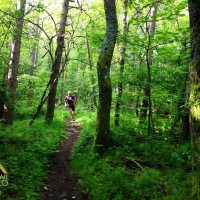 Trail-Genuß in der Toskana: Ultra Trail Mugello