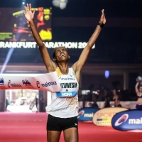 Laufkalender: Lauf-Termine im Oktober