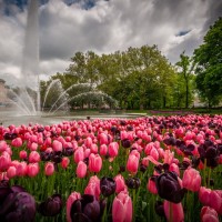 Wyniki Ironman 70.3 Poznań