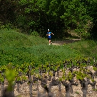 Grand Raid Ventoux 2025