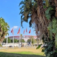 Antalya Marathon 2024, Bild 05