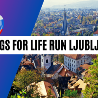 Rezultati Wings for Life World Run Ljubljana