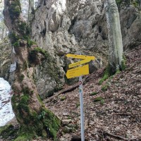 Krummbachstein 08: Nun zweigt sich der Aufstiegsweg (links zum Natufreundehaus) vom Abstiegsweg