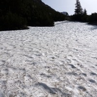 Admonter Kalbling - Sparafeld - Riffel - Kreuzkogel Rundtour (17): Mitte Juni und noch immer so viel Schnee