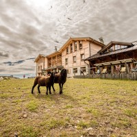 Die Plattkofelhütte Fassajoch in den Dolomiten