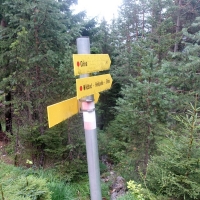 Parseierspitze-Bild-56 - der kürzerste Weg wer der über Wildbad - Heilquelle