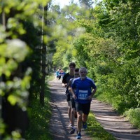 Landescup Sachsen-Anhalt