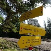 Admonter Kalbling - Sparafeld - Riffel - Kreuzkogel Rundtour (15): Nun weiter Richtung Kalbling