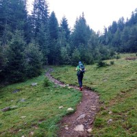 Wilde Leck Normalweg 01: Von Gries führt ein Wanderweg und Forstweg zur Amberger Hütte