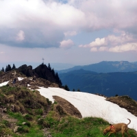 Walserkamm Rundtour 11: Blick vom Hochgerach zurück zum Laternser Gipfel