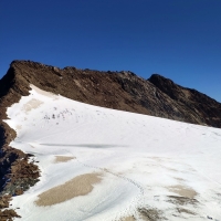 Hochvernagtspitze 25: Spuren sind gut sichtbar. Kurz auf den Ferner absteigen und von dort auf einen Pfad, der einfach zum Gipfel führt.