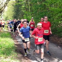 eutoburger-Wald-Marathon (C) Veranstalter