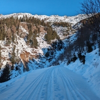 Skitour Schafhimmel 07: Bei guter Schneelage kann im oberen Abschnitt der Forststraße auch stellenweise durch den steilen Wald aufgestiegen werden.
