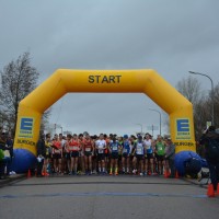 Bienwald-Marathon 19