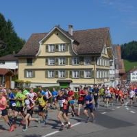 Kleeblatt Laufcup