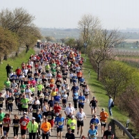 Ergebnisse Marathon Deutsche Weinstraße 2018 [+ Fotos]