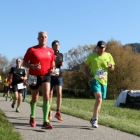 Bottwartal Marathon Strecke