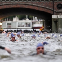 Ergebnisse World Triathlon Hamburg 2024