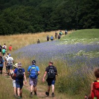 Spendenlauf in Rheinland-Pfalz