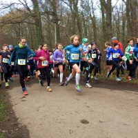 Auewald-Lauf Leipzig