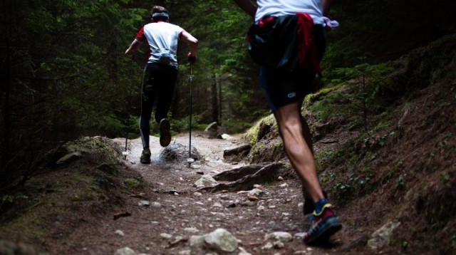 Ötscher-Trail - 2. Etappe (Ötscher Mountain Run)