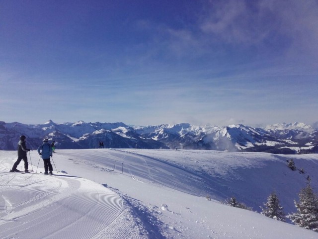 Skigebiet Niedere Andelsbuch - Bezau