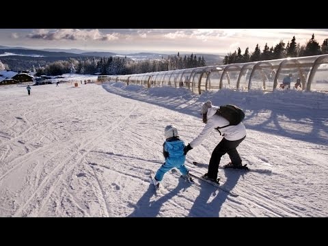 Skiareal Lipno - Hochficht - Sternstein vs. Mitterdorf